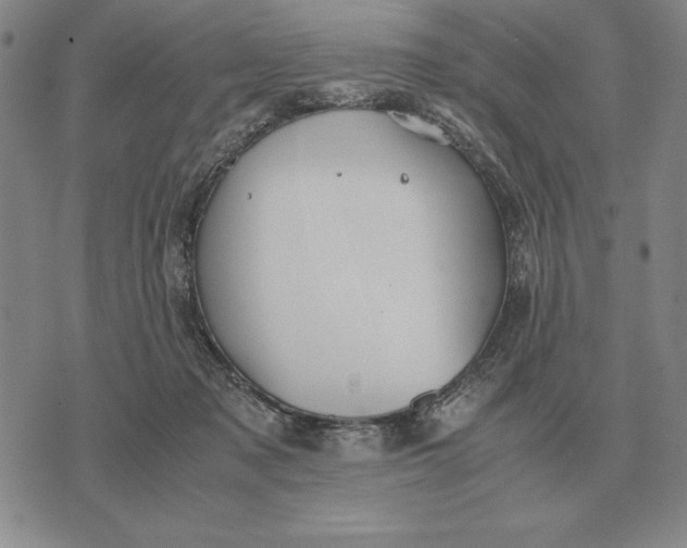 X0000071830317200607211808