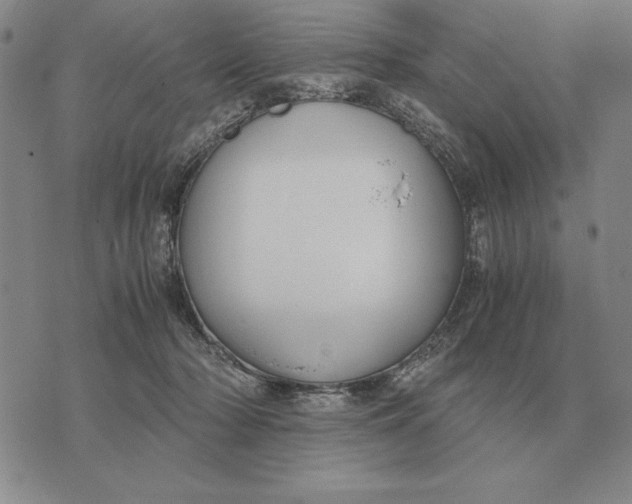 X0000071830318200607211808