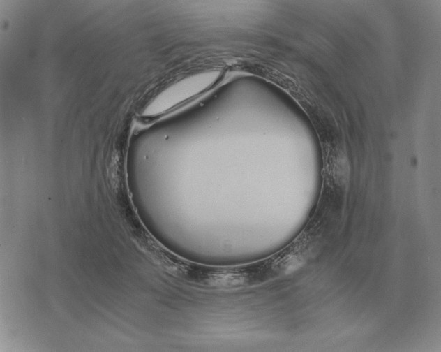 X0000071830319200607211808