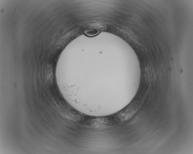 X0000071830320200607211808