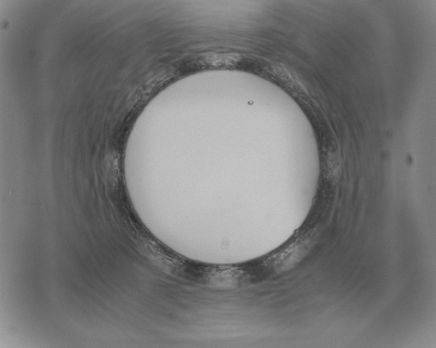 X0000071830321200607211808