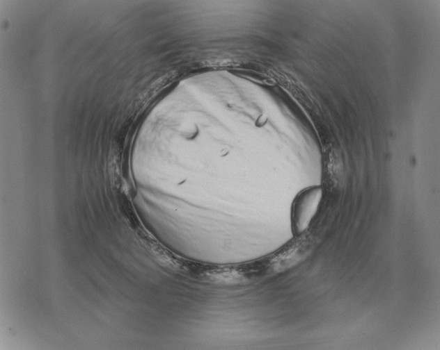 X0000071830322200607211808