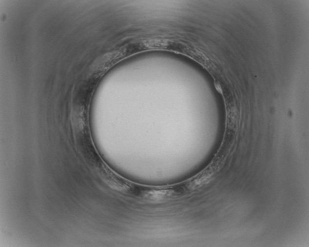 X0000071830323200607211808