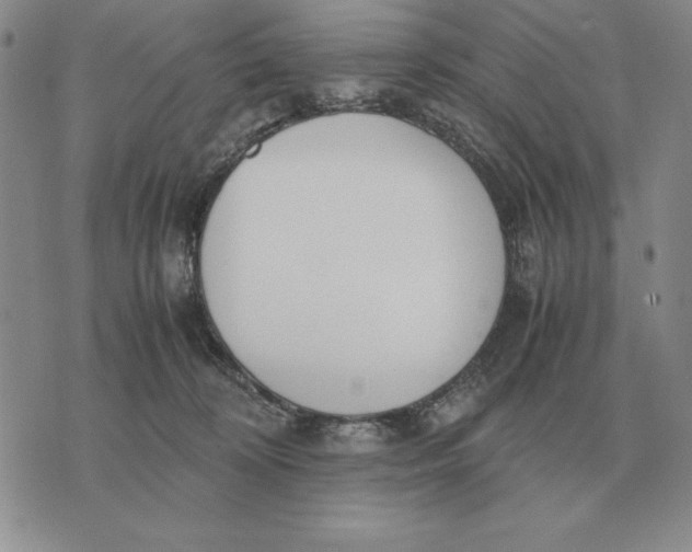 X0000071830324200607211808