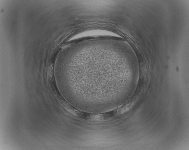 X0000071830325200607211808