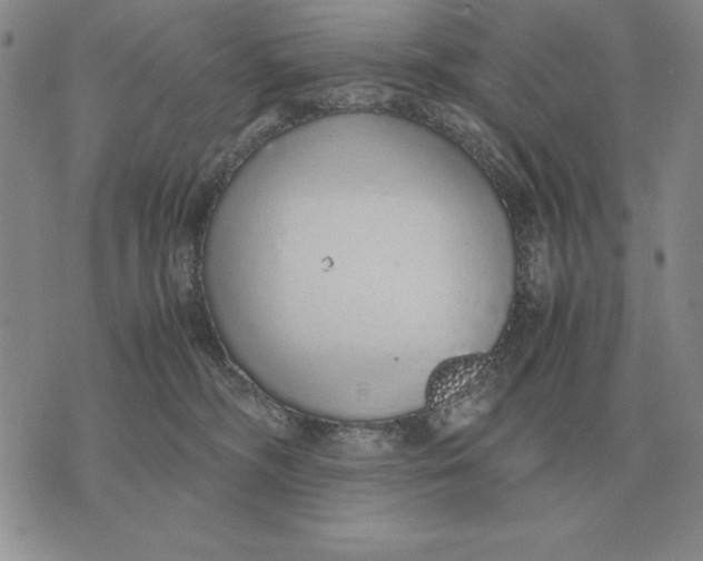 X0000071830326200607211808