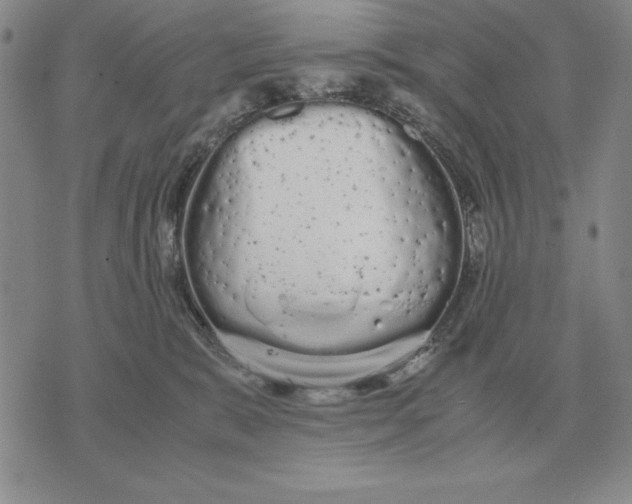 X0000071830327200607211808