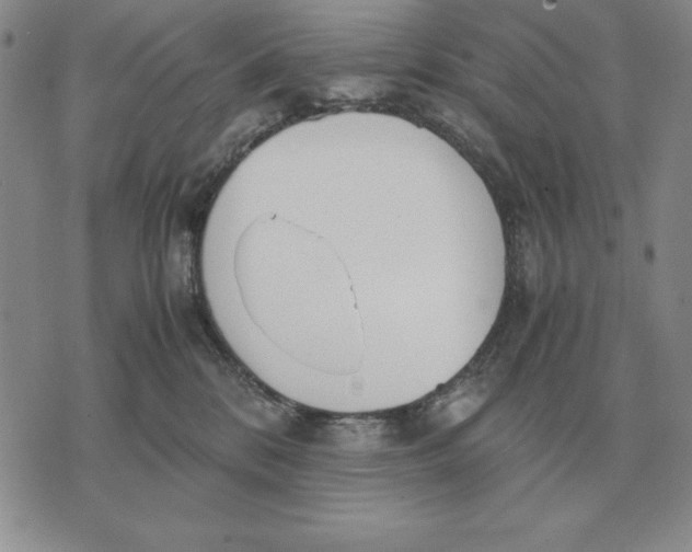 X0000071830328200607211808