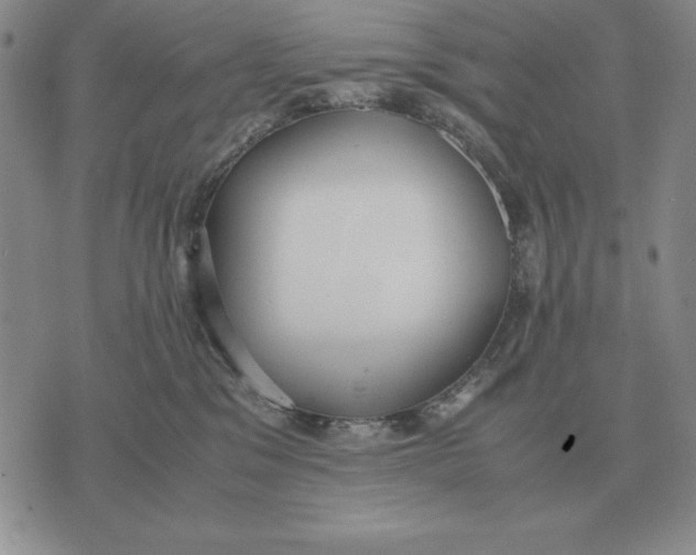 X0000071830329200607211808