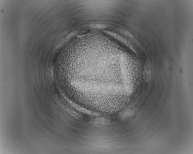 X0000071830330200607211808