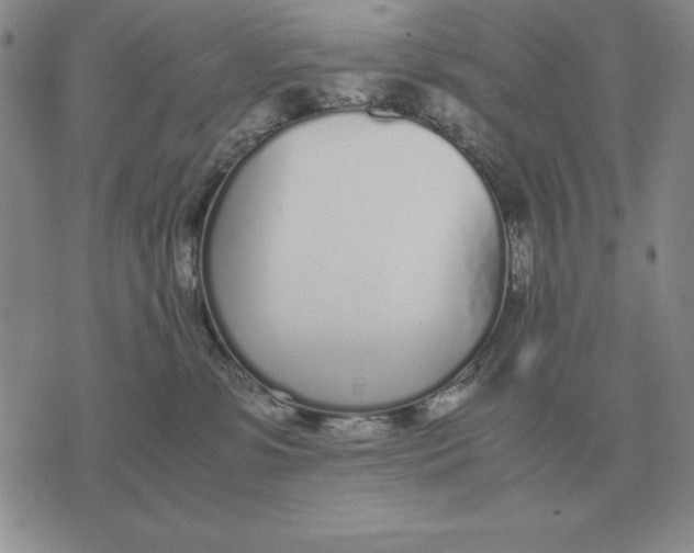 X0000071830331200607211808