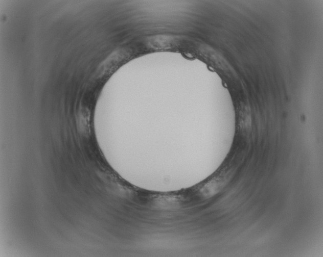 X0000071830332200607211808