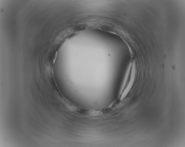 X0000071830333200607211808