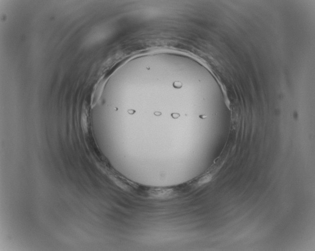 X0000071830334200607211808