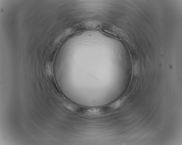 X0000071830335200607211808