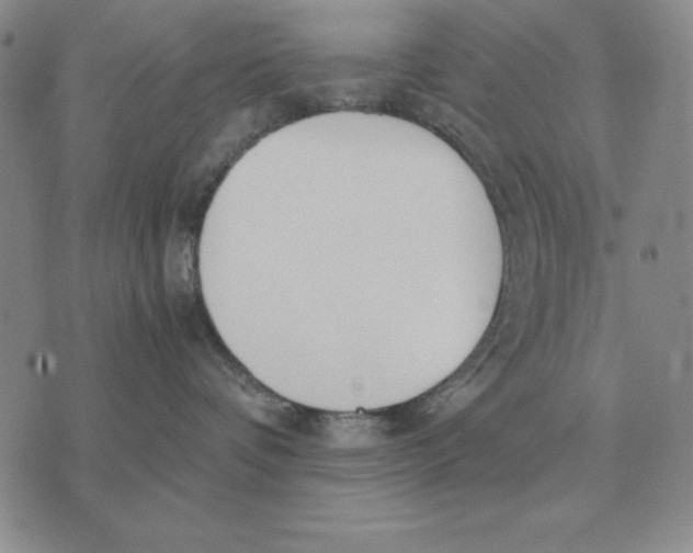 X0000071830336200607211808