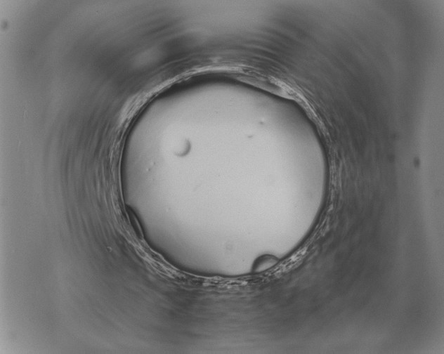 X0000071830337200607211807