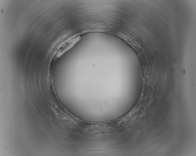 X0000071830338200607211807