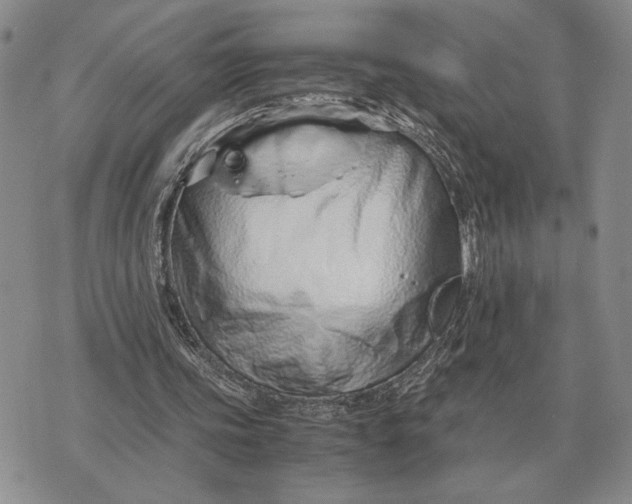 X0000071830339200607211807