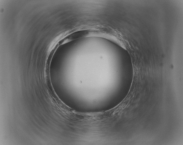 X0000071830340200607211807