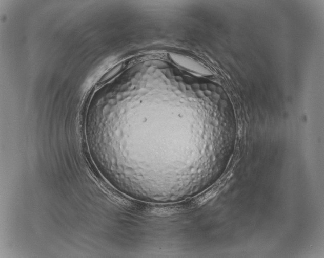 X0000071830341200607211807