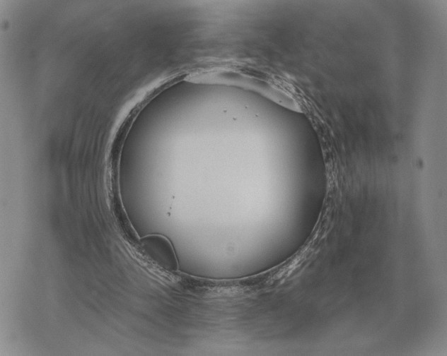 X0000071830342200607211807