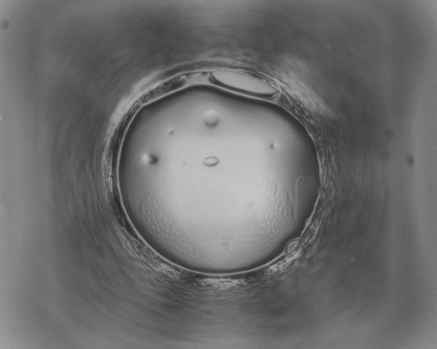 X0000071830343200607211807