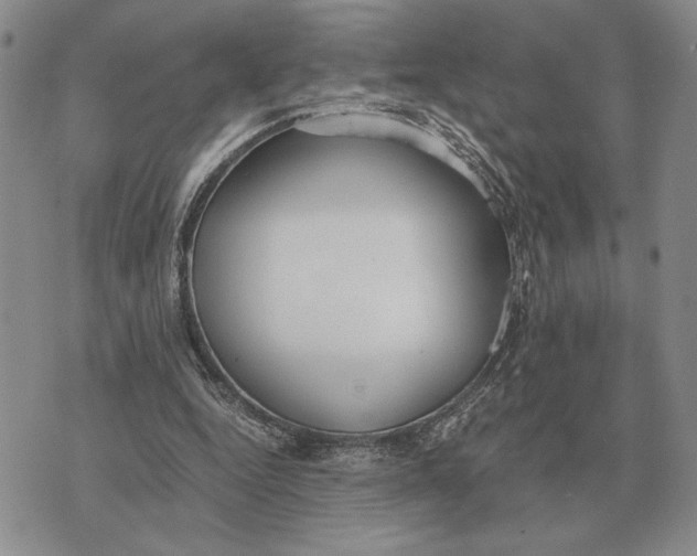 X0000071830344200607211807