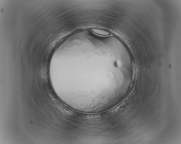 X0000071830345200607211807