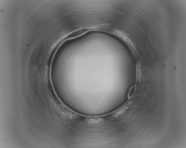 X0000071830346200607211807