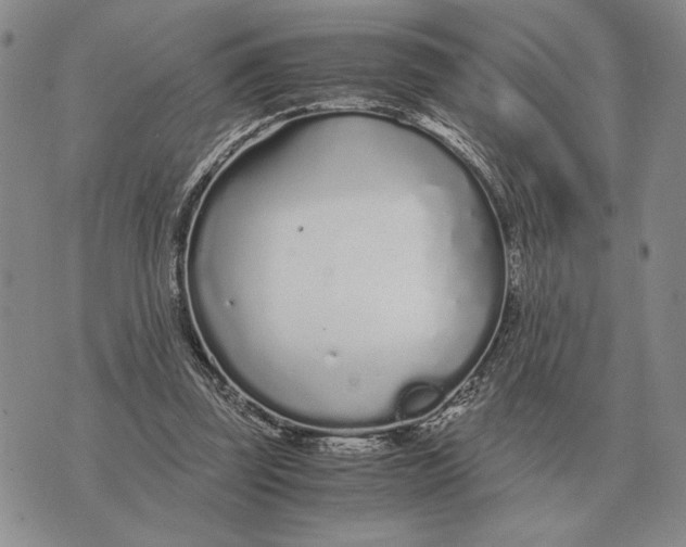 X0000071830347200607211807