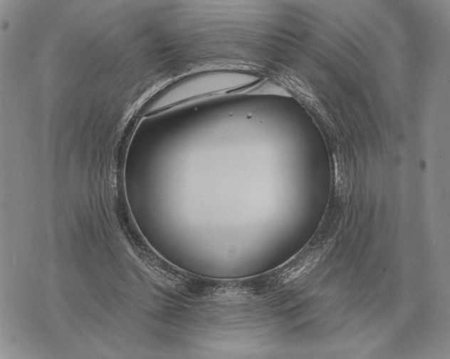 X0000071830348200607211807