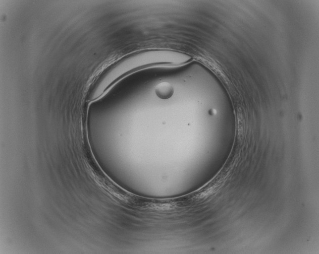 X0000071830349200607211807