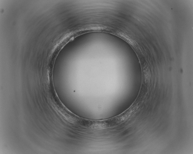 X0000071830350200607211807