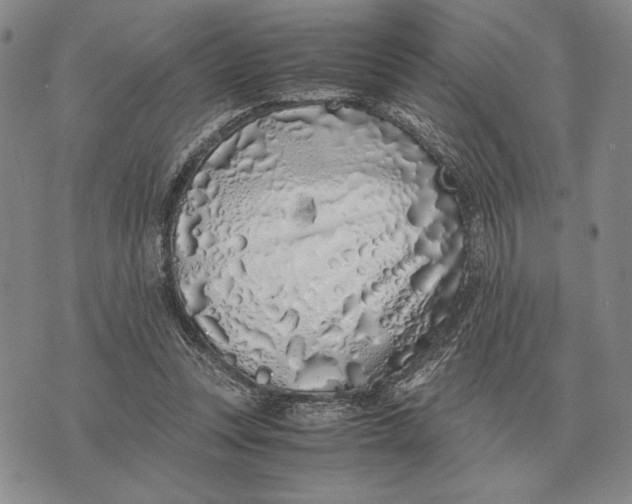 X0000071830351200607211807