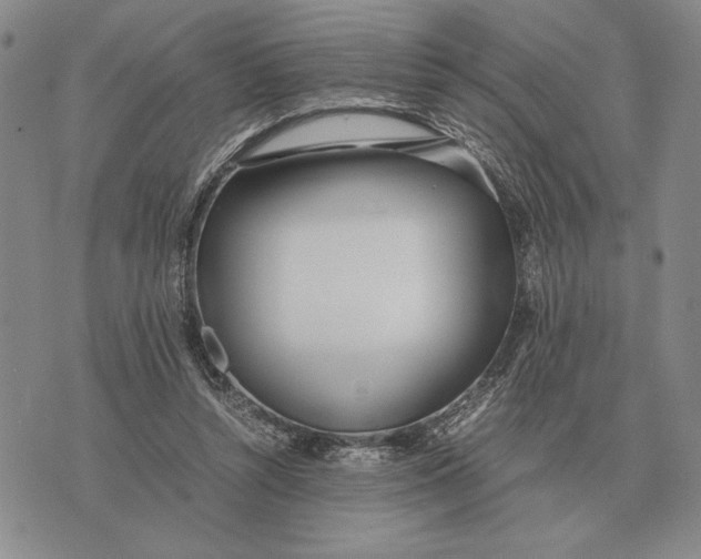 X0000071830352200607211807