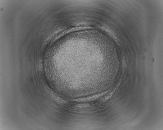 X0000071830353200607211807