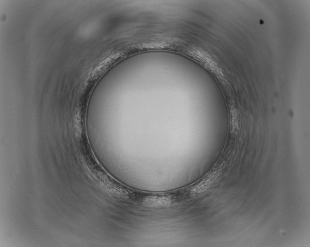 X0000071830354200607211807