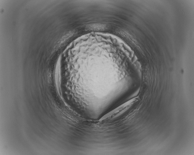 X0000071830355200607211807