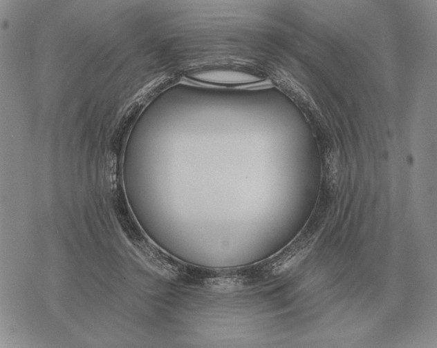 X0000071830356200607211807