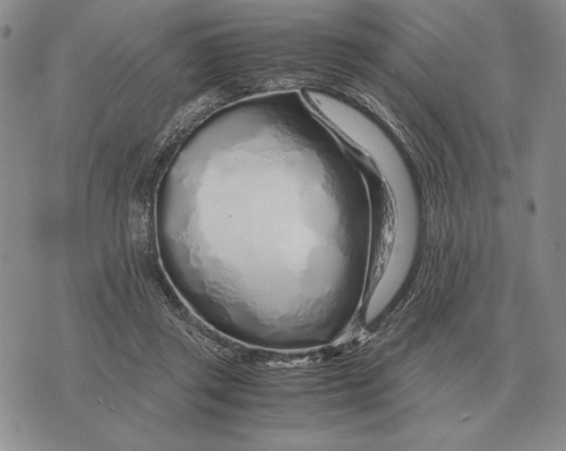 X0000071830357200607211807