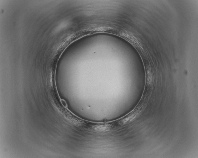 X0000071830358200607211807