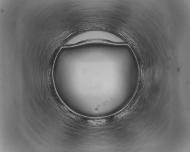 X0000071830359200607211807