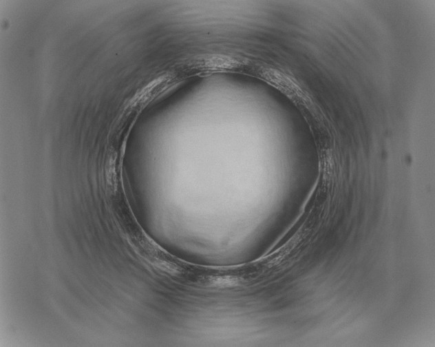 X0000071830360200607211807