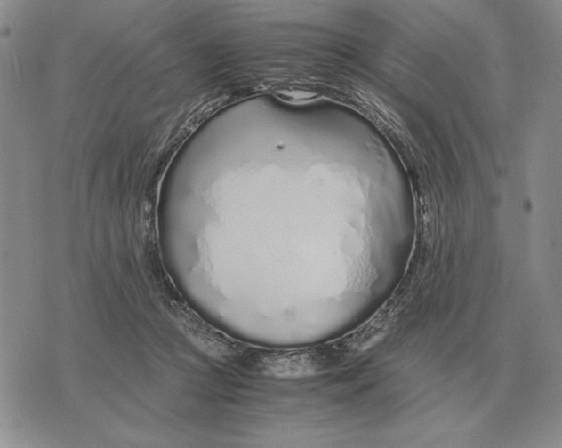 X0000071830361200607211807