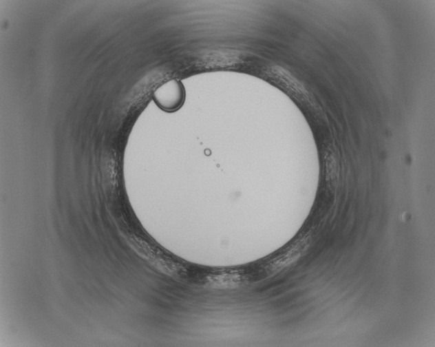 X0000071830362200607211807