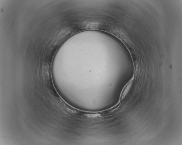 X0000071830363200607211807