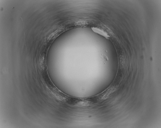 X0000071830364200607211807