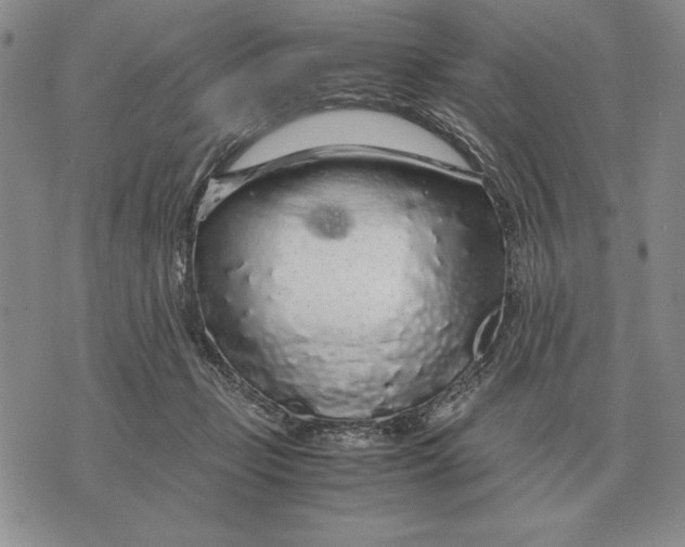 X0000071830365200607211807