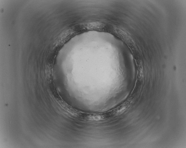 X0000071830367200607211808